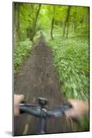 View from Bicycle Along Wooded Track, Uley, Gloucestershire, England-Peter Adams-Mounted Photographic Print