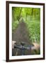 View from Bicycle Along Wooded Track, Uley, Gloucestershire, England-Peter Adams-Framed Premium Photographic Print