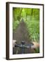 View from Bicycle Along Wooded Track, Uley, Gloucestershire, England-Peter Adams-Framed Photographic Print