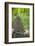 View from Bicycle Along Wooded Track, Uley, Gloucestershire, England-Peter Adams-Framed Photographic Print