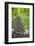 View from Bicycle Along Wooded Track, Uley, Gloucestershire, England-Peter Adams-Framed Photographic Print