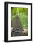 View from Bicycle Along Wooded Track, Uley, Gloucestershire, England-Peter Adams-Framed Photographic Print