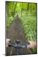 View from Bicycle Along Wooded Track, Uley, Gloucestershire, England-Peter Adams-Mounted Photographic Print