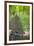 View from Bicycle Along Wooded Track, Uley, Gloucestershire, England-Peter Adams-Framed Photographic Print