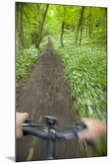 View from Bicycle Along Wooded Track, Uley, Gloucestershire, England-Peter Adams-Mounted Photographic Print