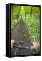 View from Bicycle Along Wooded Track, Uley, Gloucestershire, England-Peter Adams-Framed Stretched Canvas