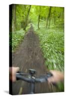 View from Bicycle Along Wooded Track, Uley, Gloucestershire, England-Peter Adams-Stretched Canvas