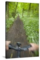 View from Bicycle Along Wooded Track, Uley, Gloucestershire, England-Peter Adams-Stretched Canvas