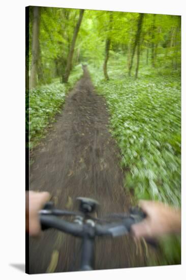 View from Bicycle Along Wooded Track, Uley, Gloucestershire, England-Peter Adams-Stretched Canvas