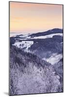 View from Black Forest Highway to Glottertal Tal Valley at Sunset-Markus Lange-Mounted Photographic Print