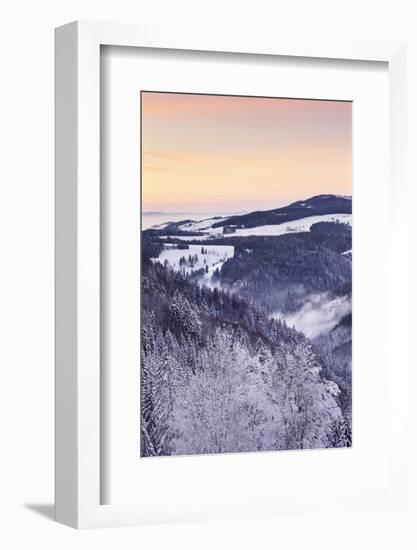 View from Black Forest Highway to Glottertal Tal Valley at Sunset-Markus Lange-Framed Photographic Print