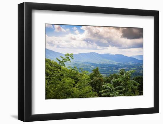 View from Blue Ridge Parkway, Smoky Mountains, USA.-Anna Miller-Framed Photographic Print