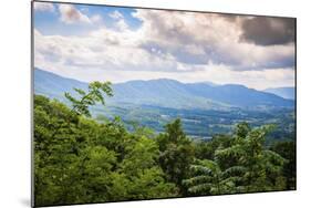 View from Blue Ridge Parkway, Smoky Mountains, USA.-Anna Miller-Mounted Photographic Print