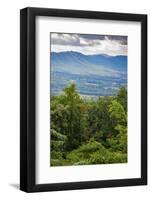 View from Blue Ridge Parkway, Smoky Mountains, USA.-Anna Miller-Framed Photographic Print