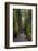 View from bottom of Oneonta Gorge, Columbia River Gorge National Scenic Area, Oregon-Adam Jones-Framed Photographic Print