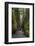 View from bottom of Oneonta Gorge, Columbia River Gorge National Scenic Area, Oregon-Adam Jones-Framed Photographic Print