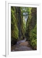 View from bottom of Oneonta Gorge, Columbia River Gorge National Scenic Area, Oregon-Adam Jones-Framed Photographic Print