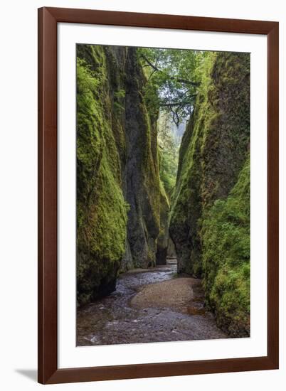 View from bottom of Oneonta Gorge, Columbia River Gorge National Scenic Area, Oregon-Adam Jones-Framed Photographic Print