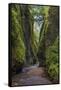 View from bottom of Oneonta Gorge, Columbia River Gorge National Scenic Area, Oregon-Adam Jones-Framed Stretched Canvas