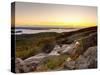 View from Cadillac Mountain, Acadia National Park, Mount Desert Island, Maine, New England, USA-Alan Copson-Stretched Canvas