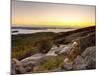 View from Cadillac Mountain, Acadia National Park, Mount Desert Island, Maine, New England, USA-Alan Copson-Mounted Photographic Print