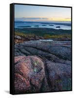 View from Cadillac Mountain, Acadia National Park, Mount Desert Island, Maine, New England, USA-Alan Copson-Framed Stretched Canvas