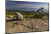 View from Cadillac Mountain looking down onto Frenchman Bay in Acadia National Park, Maine, USA-Chuck Haney-Mounted Photographic Print