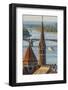 View from Castle Hill of the Margaret Bridge crossing the Danube River, Buda side, Budapest-Tom Haseltine-Framed Photographic Print