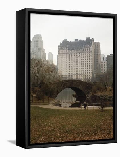 View from Central Park with Plaza Hotel in the Distance-Dmitri Kessel-Framed Stretched Canvas