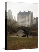 View from Central Park with Plaza Hotel in the Distance-Dmitri Kessel-Stretched Canvas