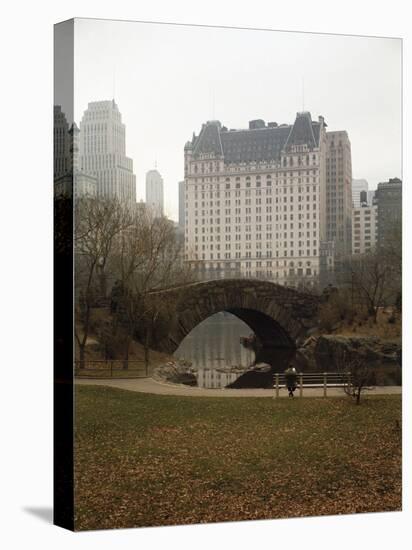 View from Central Park with Plaza Hotel in the Distance-Dmitri Kessel-Stretched Canvas