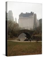 View from Central Park with Plaza Hotel in the Distance-Dmitri Kessel-Stretched Canvas
