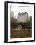 View from Central Park with Plaza Hotel in the Distance-Dmitri Kessel-Framed Photographic Print