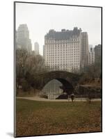 View from Central Park with Plaza Hotel in the Distance-Dmitri Kessel-Mounted Photographic Print