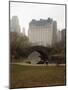 View from Central Park with Plaza Hotel in the Distance-Dmitri Kessel-Mounted Photographic Print