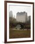 View from Central Park with Plaza Hotel in the Distance-Dmitri Kessel-Framed Photographic Print