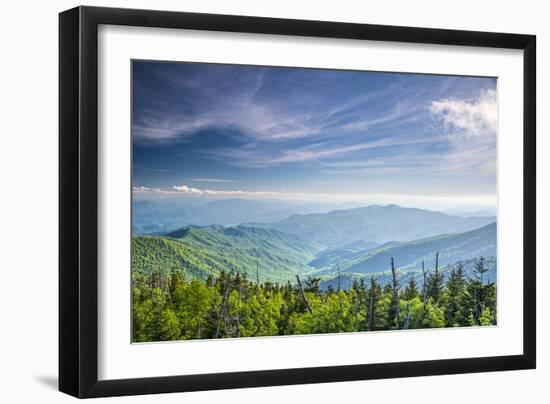 View from Clingman's Dome in the Great Smoky Mountains National Park near Gatlinburg, Tennessee.-SeanPavonePhoto-Framed Photographic Print