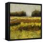 View from Dale Farm-Lou Wall-Framed Stretched Canvas