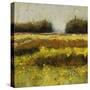 View from Dale Farm-Lou Wall-Stretched Canvas
