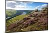 View from Derwent Edge, Peak District National Park, Derbyshire, England, United Kingdom, Europe-Frank Fell-Mounted Photographic Print