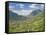 View from Dorf Tyrol over Merano, Towards Reschen Pass and Austria, Western Dolomites, Italy-James Emmerson-Framed Stretched Canvas