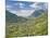 View from Dorf Tyrol over Merano, Towards Reschen Pass and Austria, Western Dolomites, Italy-James Emmerson-Mounted Photographic Print