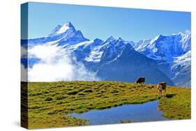 View from First to Bernese Alps, Grindelwald, Bernese Oberland, Canton of Bern, Switzerland, Europe-Hans-Peter Merten-Stretched Canvas