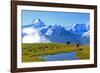 View from First to Bernese Alps, Grindelwald, Bernese Oberland, Canton of Bern, Switzerland, Europe-Hans-Peter Merten-Framed Photographic Print