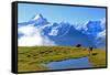 View from First to Bernese Alps, Grindelwald, Bernese Oberland, Canton of Bern, Switzerland, Europe-Hans-Peter Merten-Framed Stretched Canvas