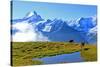 View from First to Bernese Alps, Grindelwald, Bernese Oberland, Canton of Bern, Switzerland, Europe-Hans-Peter Merten-Stretched Canvas