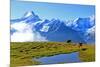 View from First to Bernese Alps, Grindelwald, Bernese Oberland, Canton of Bern, Switzerland, Europe-Hans-Peter Merten-Mounted Photographic Print