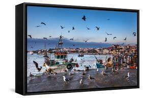 View from Fishing Harbour Towards Old Town, Lagos, Algarve, Portugal-Sabine Lubenow-Framed Stretched Canvas