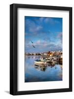 View from Fishing Harbour Towards Old Town, Lagos, Algarve, Portugal-Sabine Lubenow-Framed Photographic Print