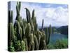 View from Fort Napoleon, Terre-De-Haut, Les Saintes, off Guadeloupe, French Antilles-Bruno Barbier-Stretched Canvas